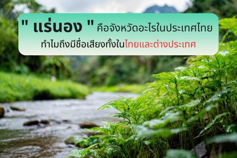 ” แร่นอง ”  คือจังหวัดอะไรในประเทศไทย ทำไมถึงมีชื่อเสียงทั้งในไทยและต่างประเทศ